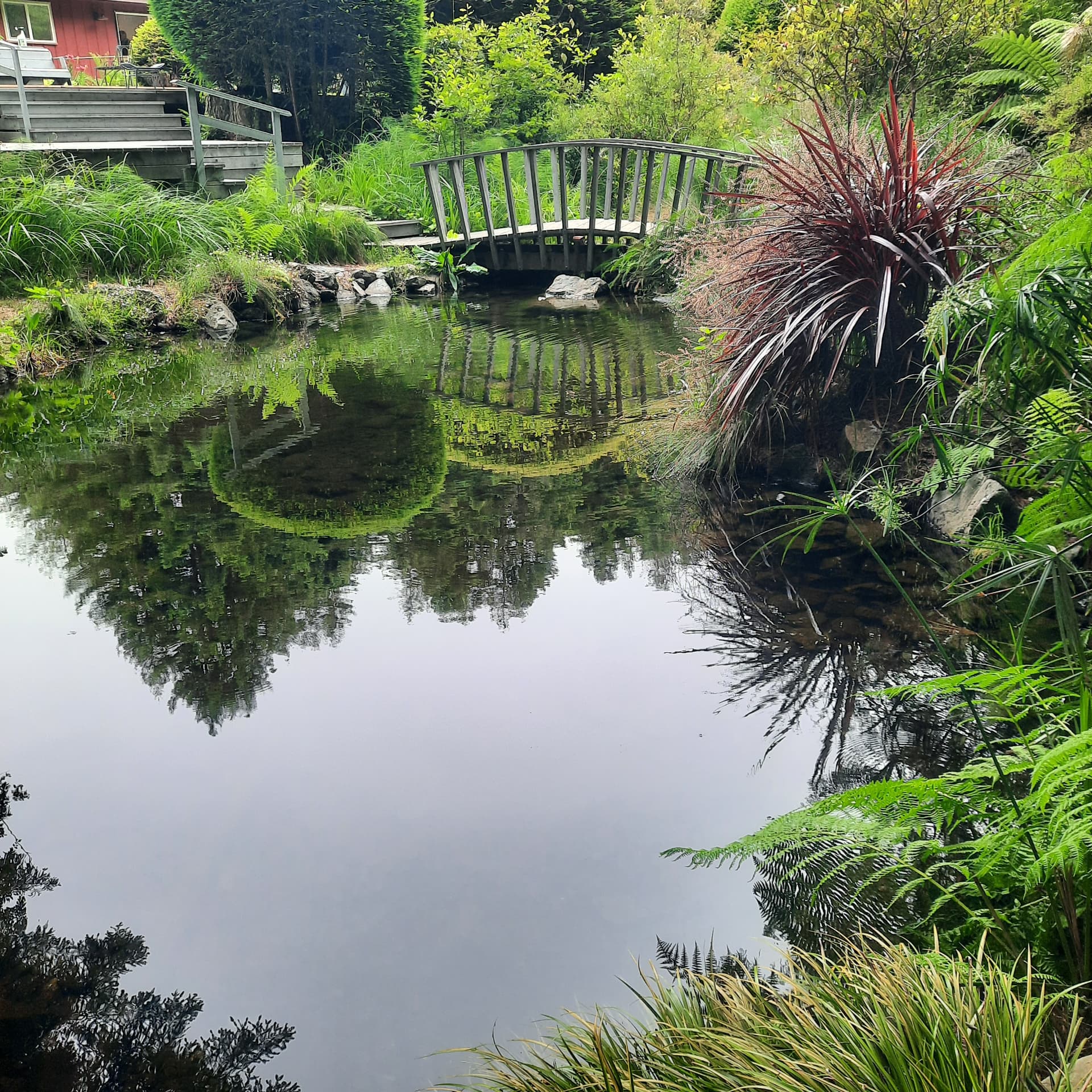 Renovated landscape pond and water feature by Living Earth Landscapes
