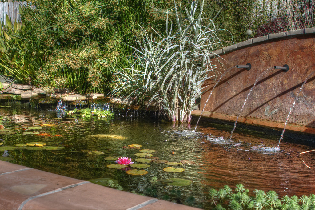 Finished garden pond with water lilies, curved wall, and water spouts